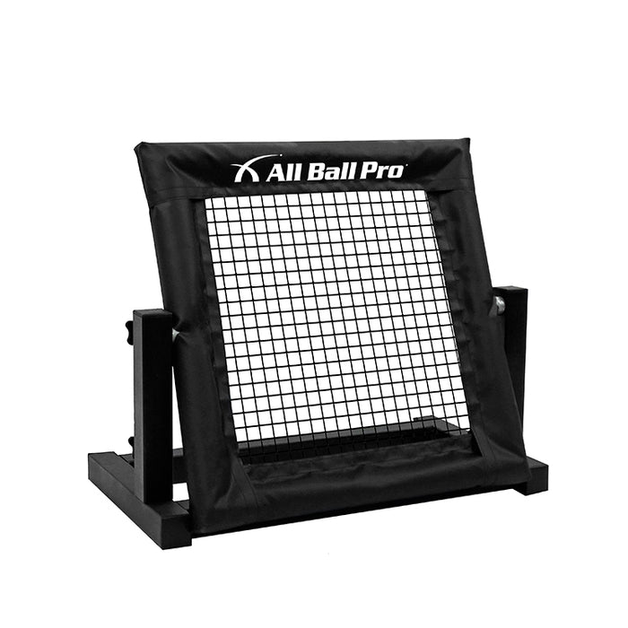 All Ball Pro Mini Pro Rebounder