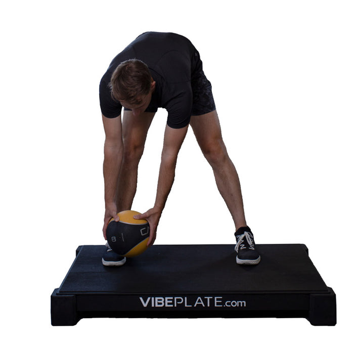 VibePlate 3048 Vibration Platform