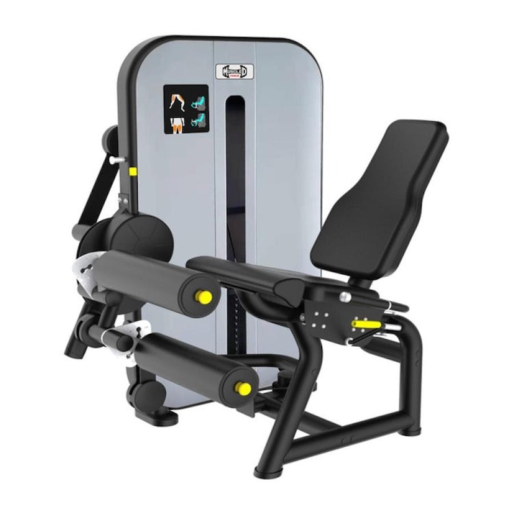 Leg Extension - Muscle D – Weight Room Equipment
